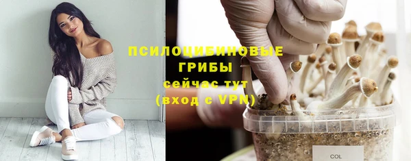 а пвп мука Беломорск