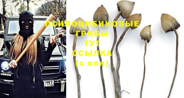 jwh Белокуриха